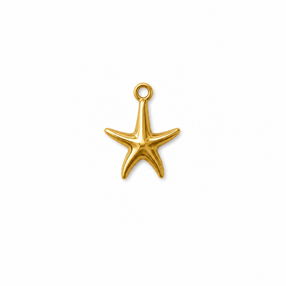 pendentif étoile de mer