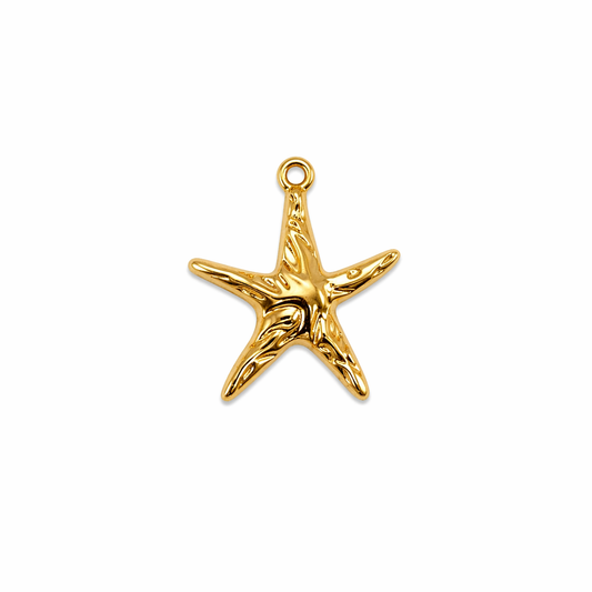 pendentif big étoile de mer